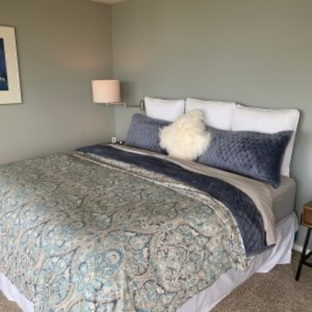 Pottery Barn McKenna Queen duvet